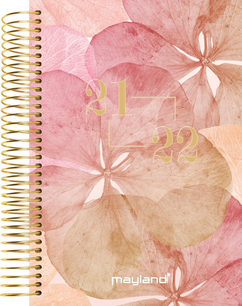 STUDIEKALENDER 21/22 MAYLAND STORY STOR 1 DAG PR. SIDE