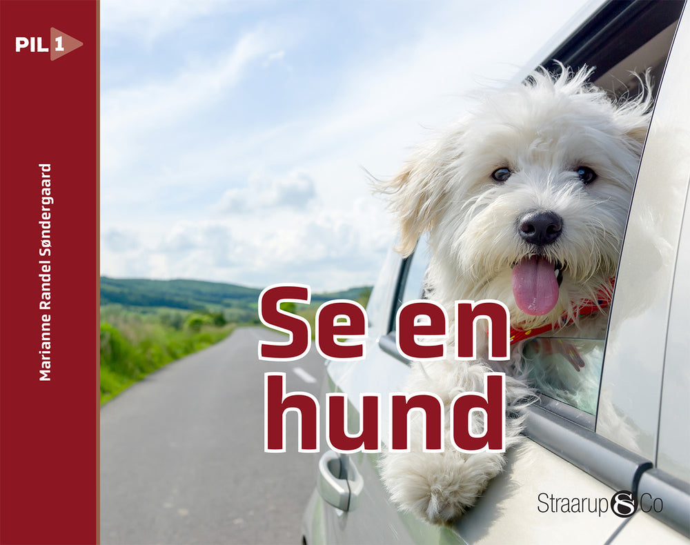 Se en hund (norsk)