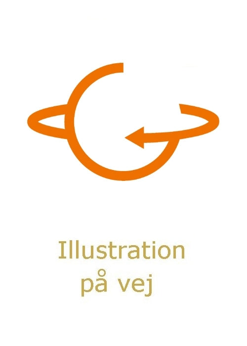 Troldruner 3 - Hvor vinden finder hvile
