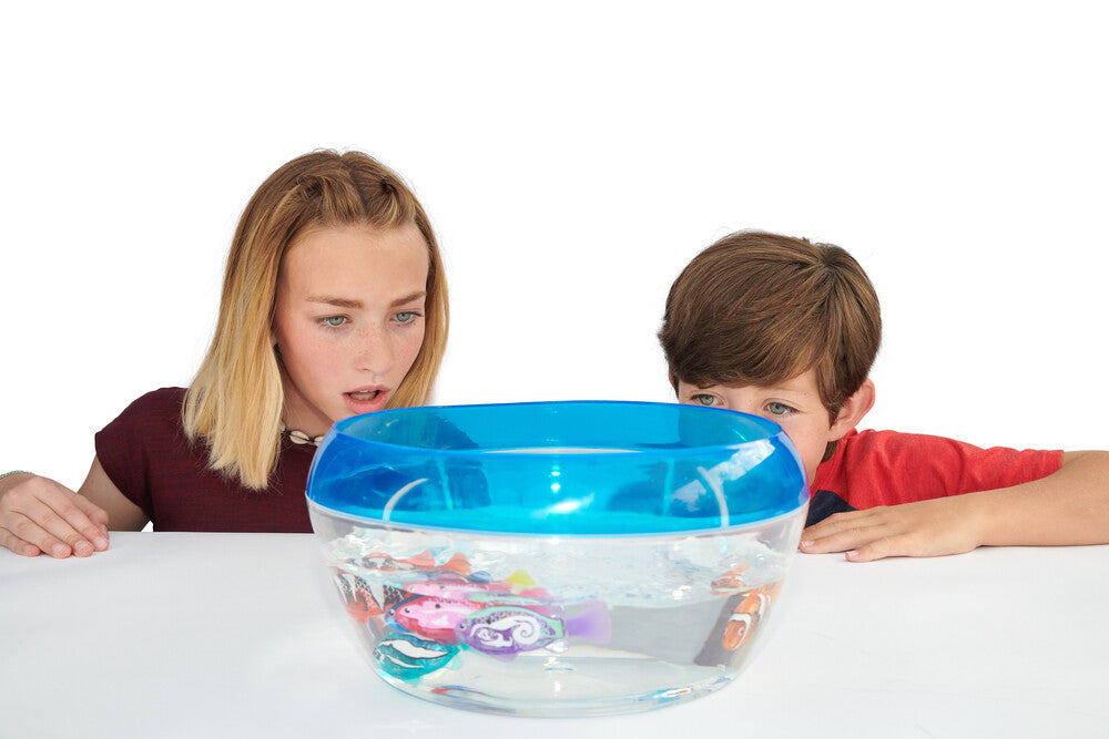 Fish bowl med 1 Robo Fish
