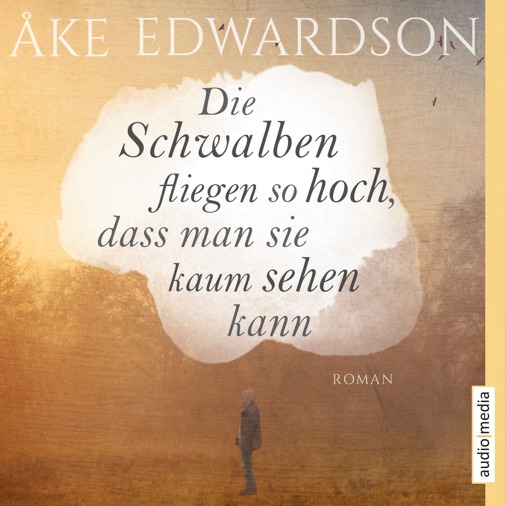 Die Schwalben fliegen so hoch, dass man sie kaum sehen kann