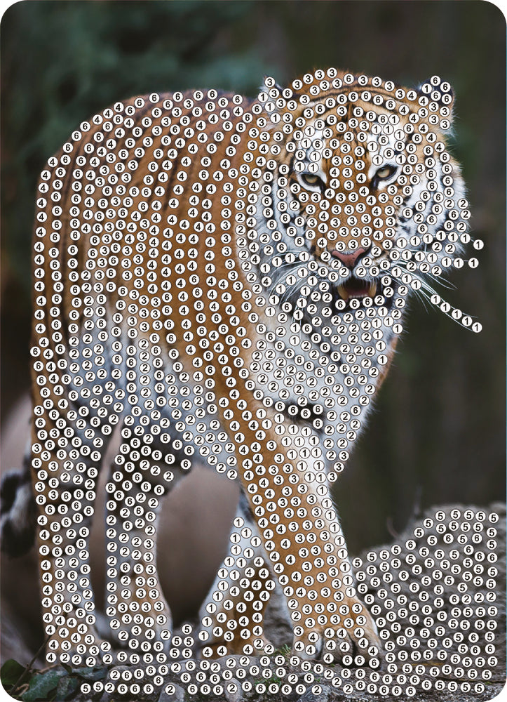 Diamond Art tiger 13 x 18 cm