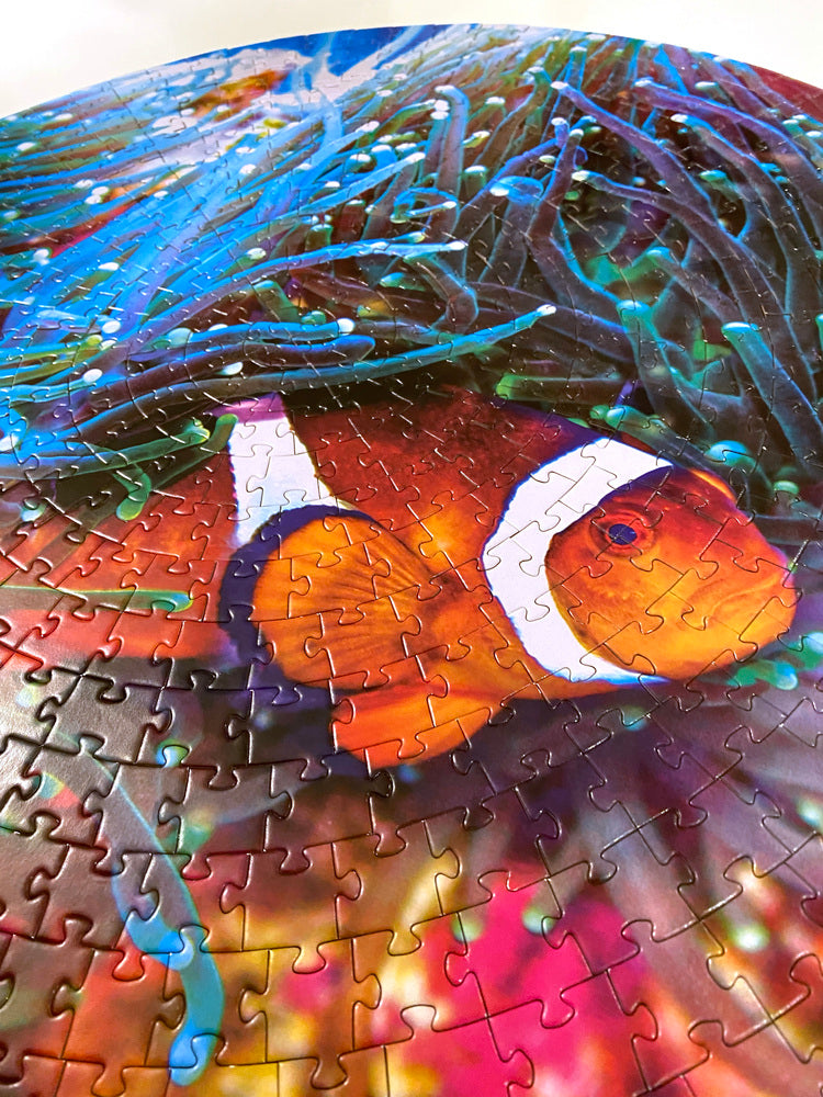 Puslespil Amazing round 500 brikker Fish