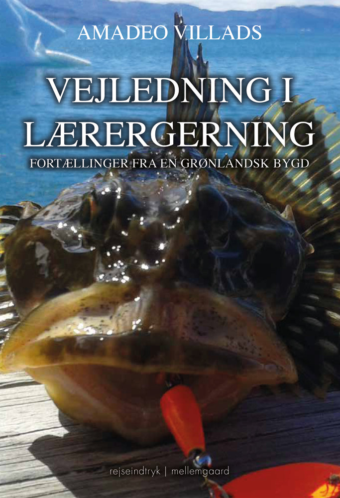 Vejledning i læregerning