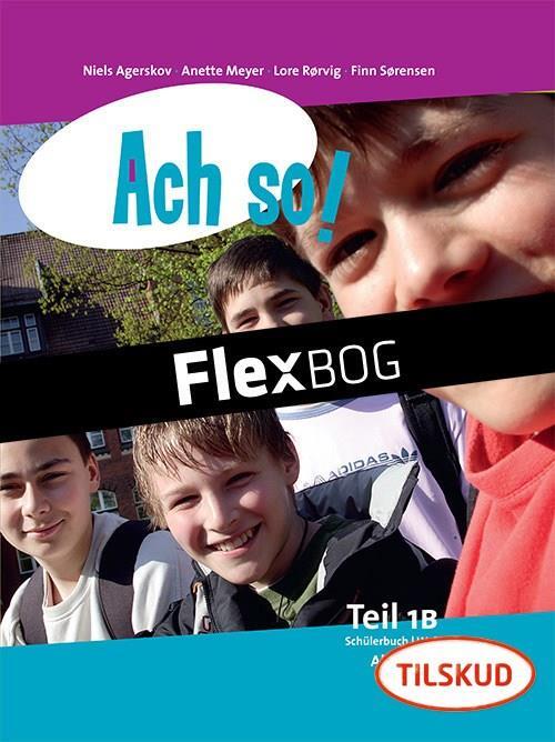 Ach so! Teil 1 B, Elev