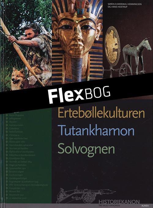 Flexbog, Historiekanon mellemtrin