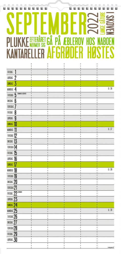 Familiekalender trendart 2022 22 x 43 cm Mayland