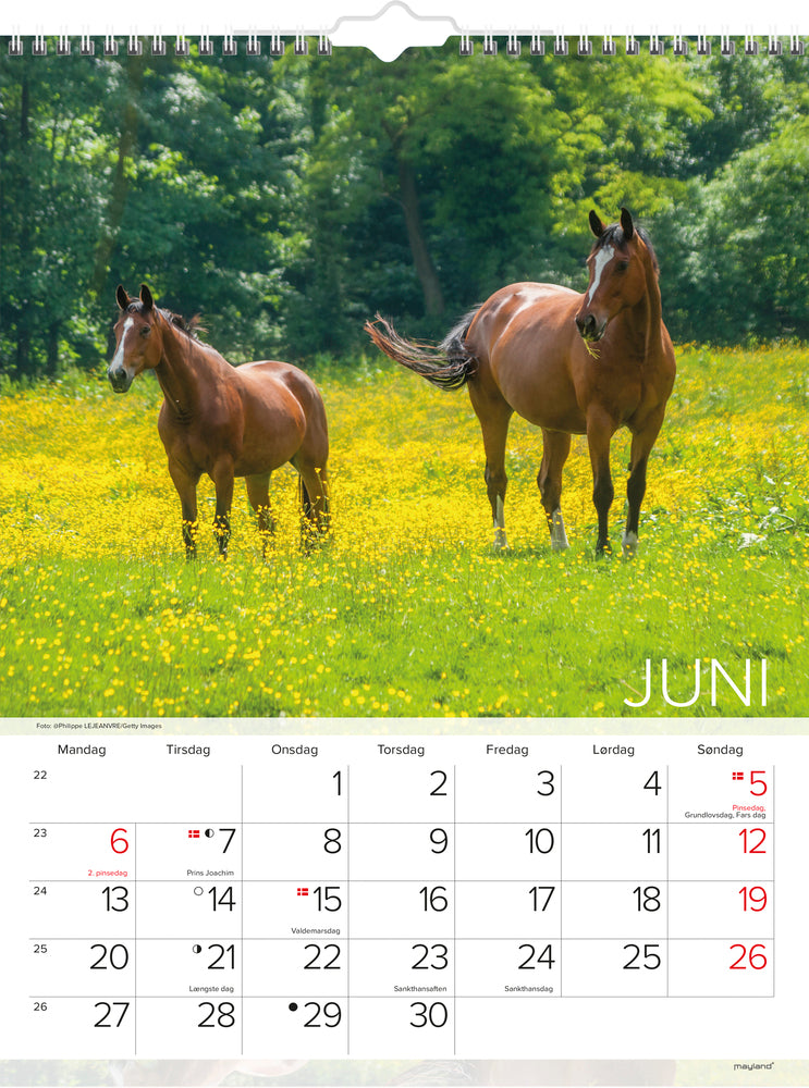 Vægkalender heste 2022 29,5 x 39 cm Mayland