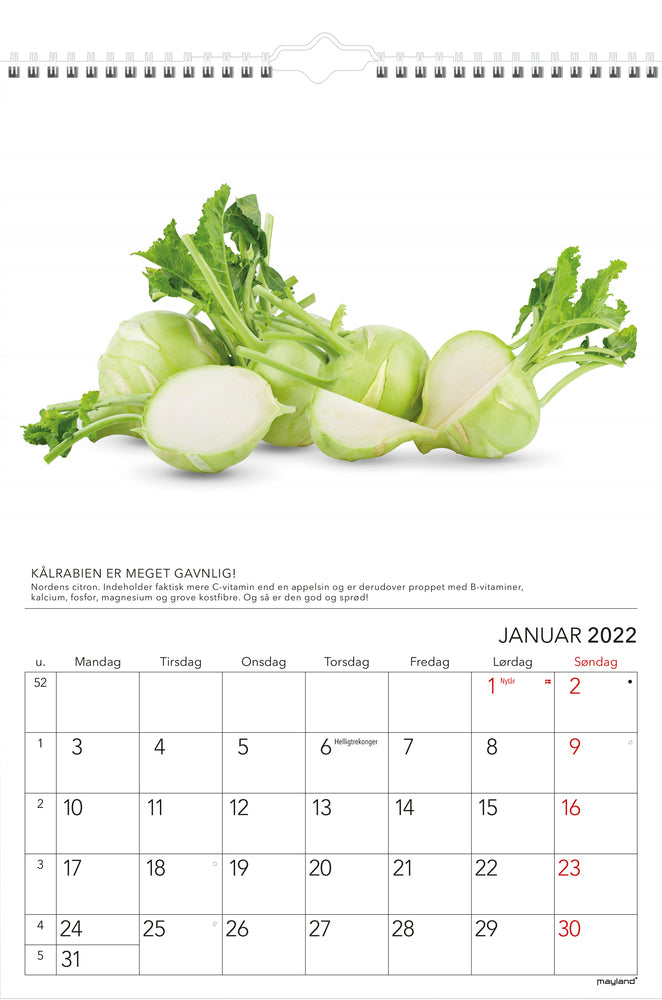 Vægkalender A4 grønne tips 2022 Mayland