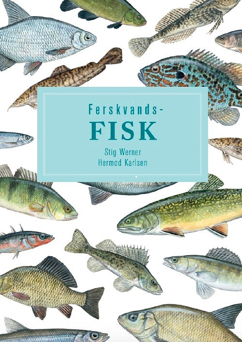 Ferskvandsfisk - display med 10 stk.