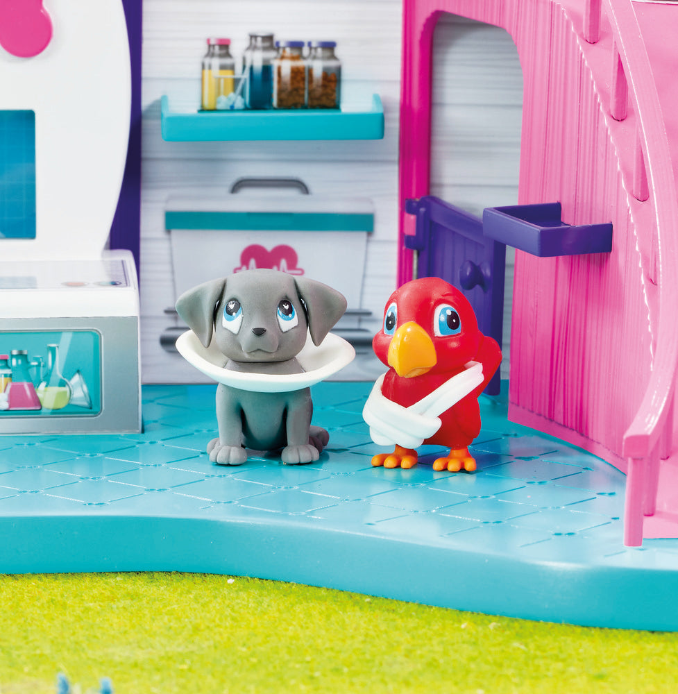 Vet Surgery Hospital