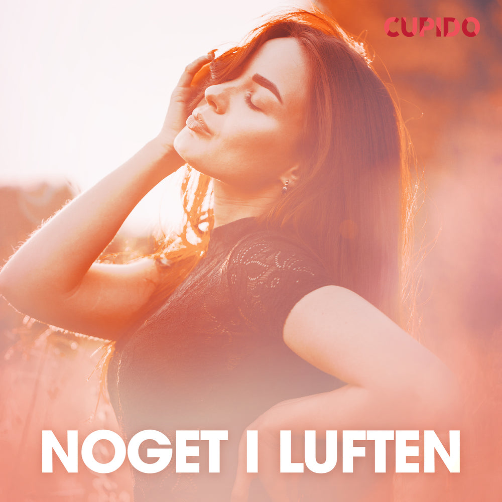Noget i luften - erotiske noveller
