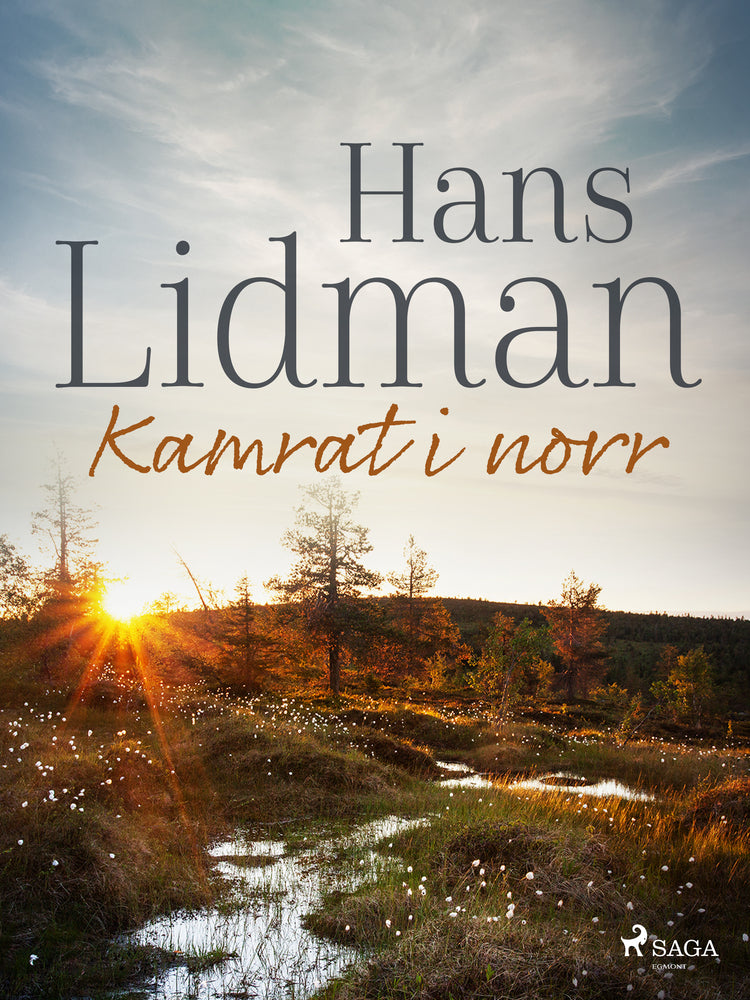 Kamrat i norr