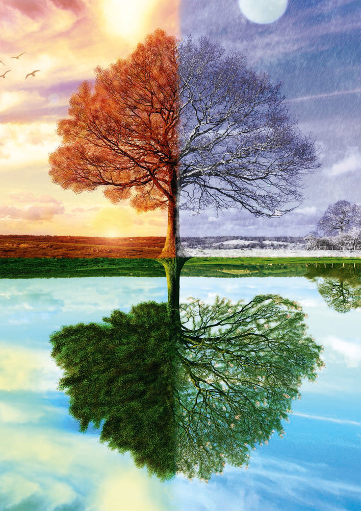 Puslespil The seasons tree 500 brikker