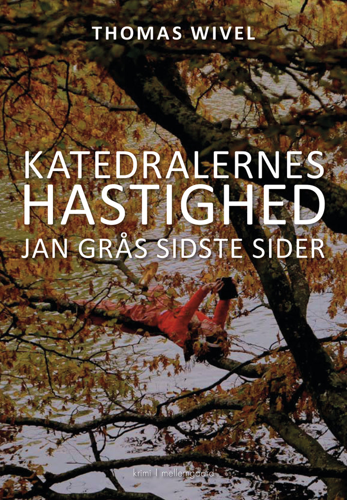 Katedralernes hastighed - Jan Grås sidste sider