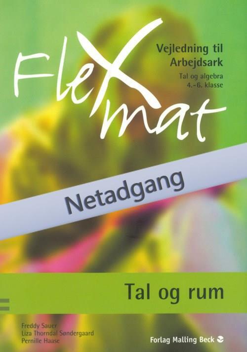 FlexMat, Tal og rum, Arbejdsark, Netadgang