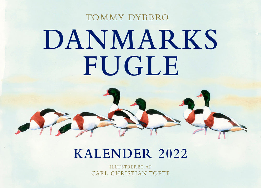 Danmarks fugle - kalender 2022
