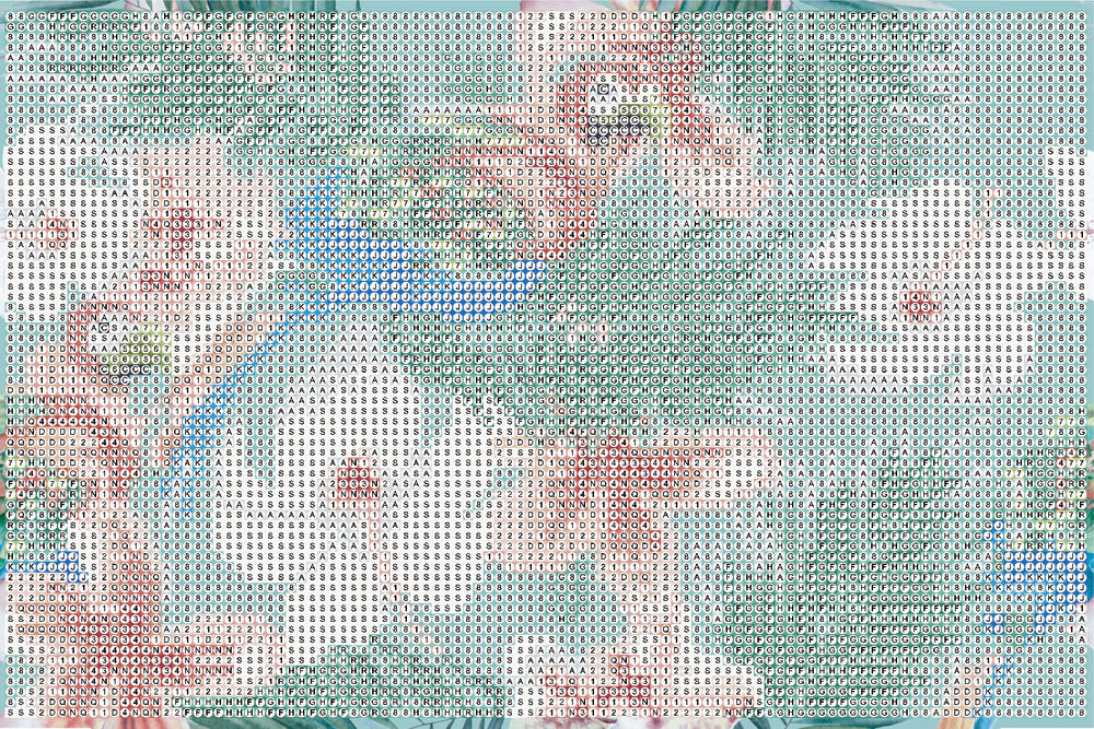 Diamond Art Papegøjer/Blomster 20 x 30 cm