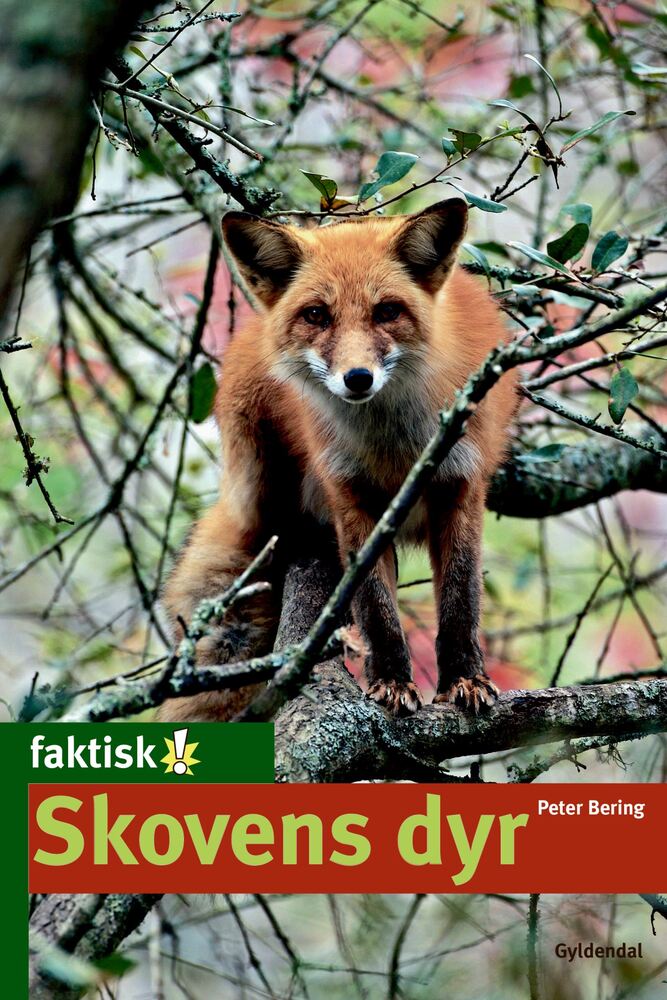 Skovens dyr - Lyt&læs
