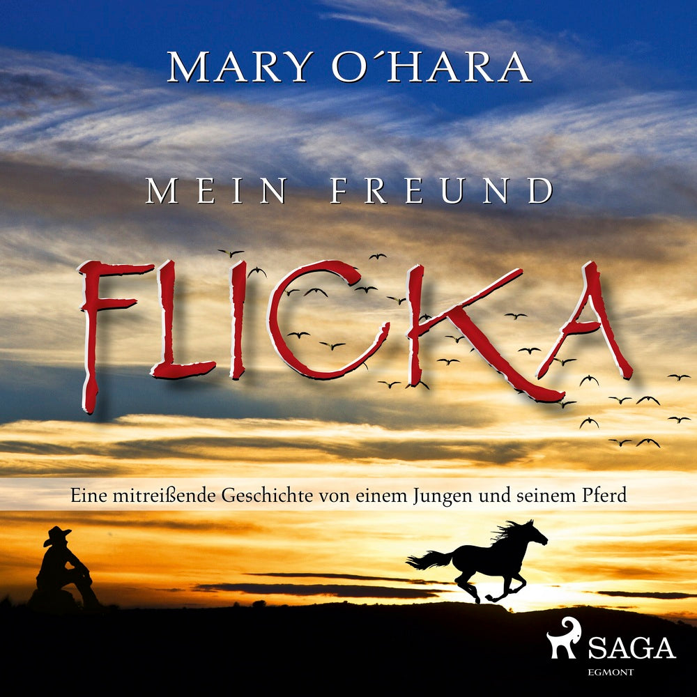 Mein Freund Flicka - Eine mitreißende Geschichte von einem Jungen und seinem Pferd