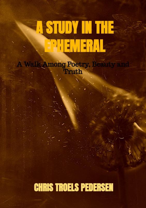 A Study in the Ephemeral