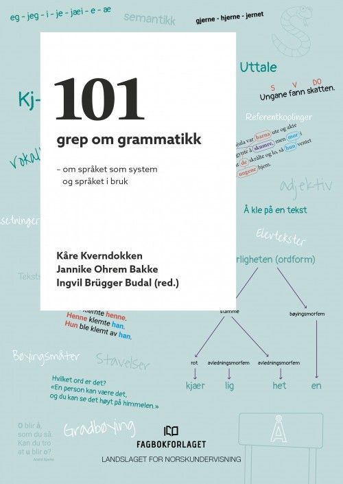 101 grep om grammatikk : om språket som system og språket i bruk
