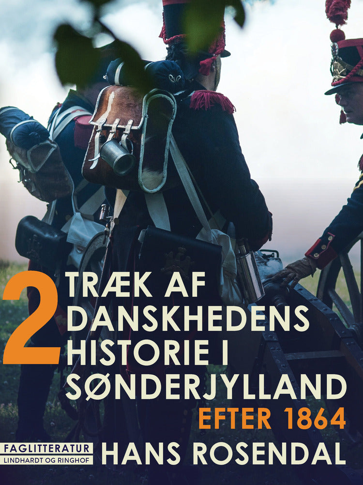 Træk af danskhedens historie i Sønderjylland. Bind 2. Efter 1864