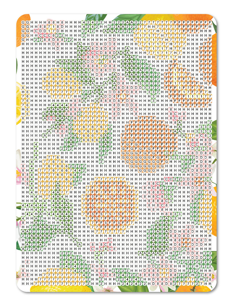 Diamond Art Citrusfrugter/blomster 13 x 18cm