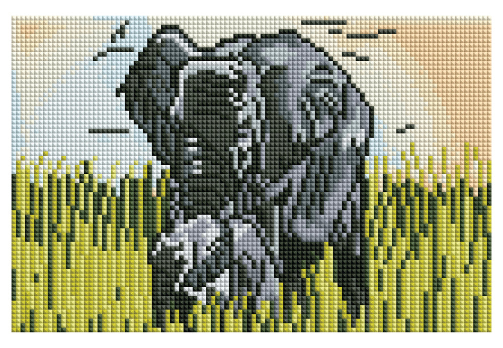 Diamond Art Elefanter på græs lærred 20 x 30 cm