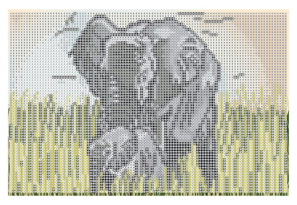 Diamond Art Elefanter på græs lærred 20 x 30 cm