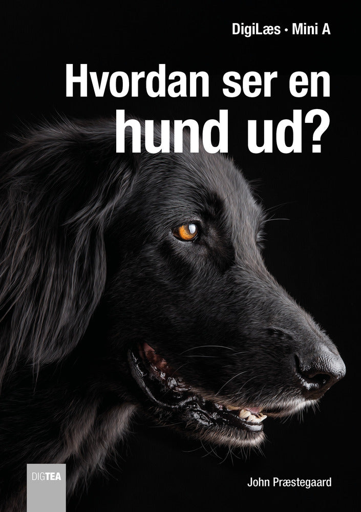 Hvordan ser en hund ud?