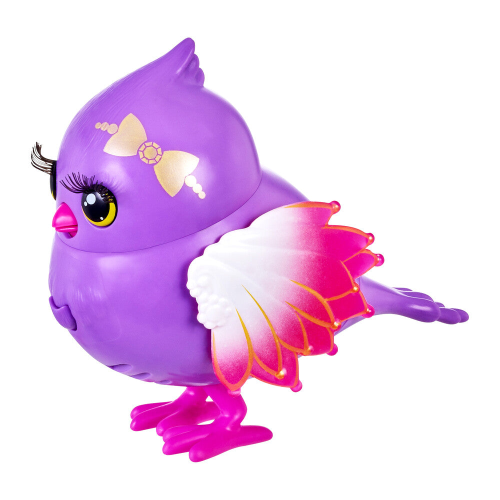 Fuglebur asst