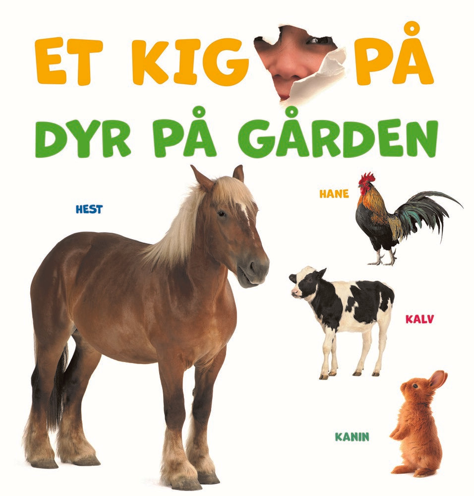 Et kig på - dyr på gården