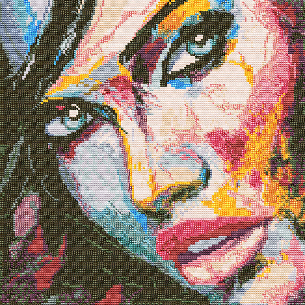 Diamond Art MIX Ansigt 40 x 40 cm