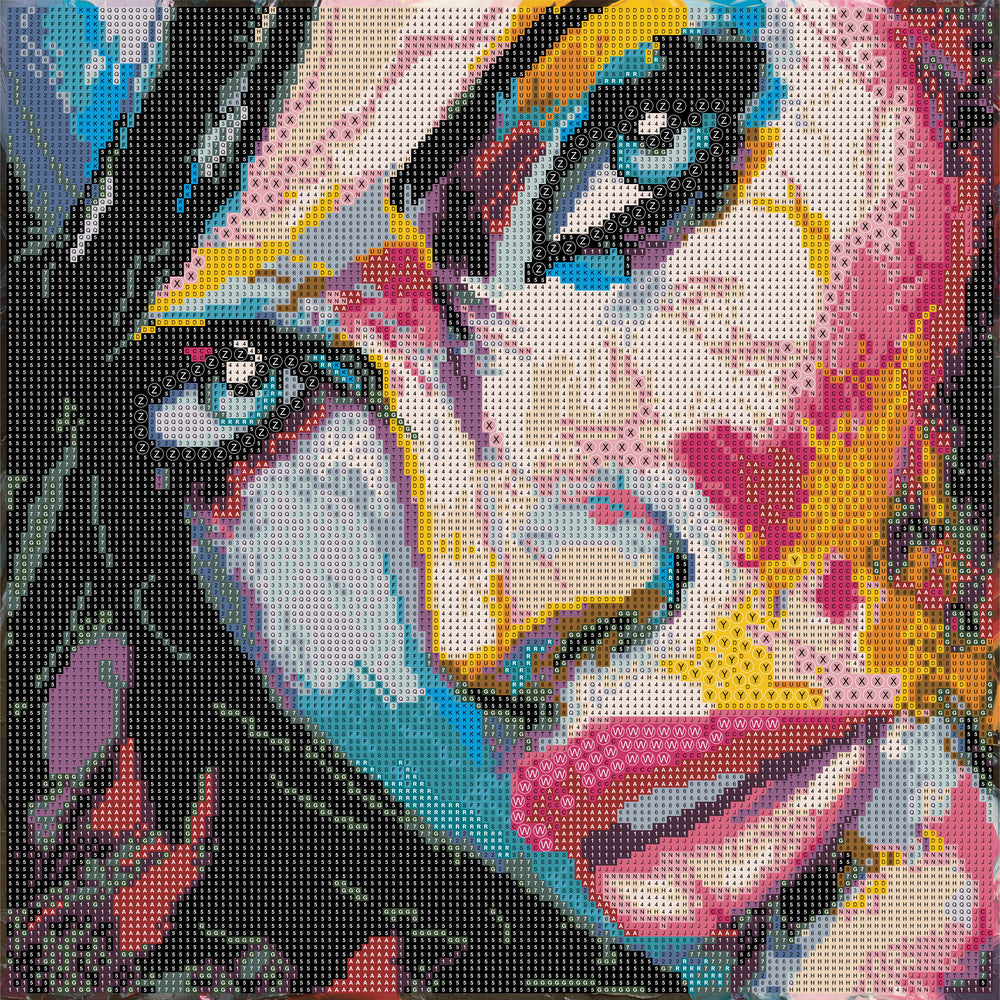Diamond Art MIX Ansigt 40 x 40 cm