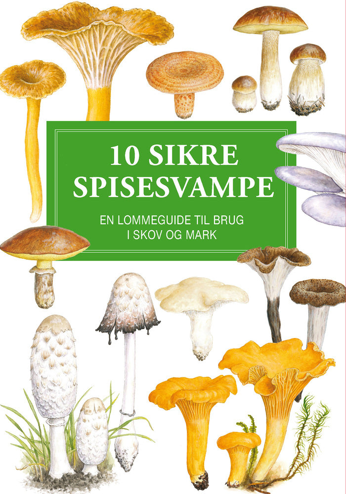 10 sikre spisesvampe