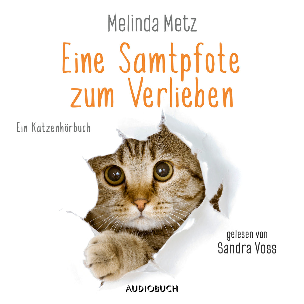 Eine Samtpfote zum Verlieben