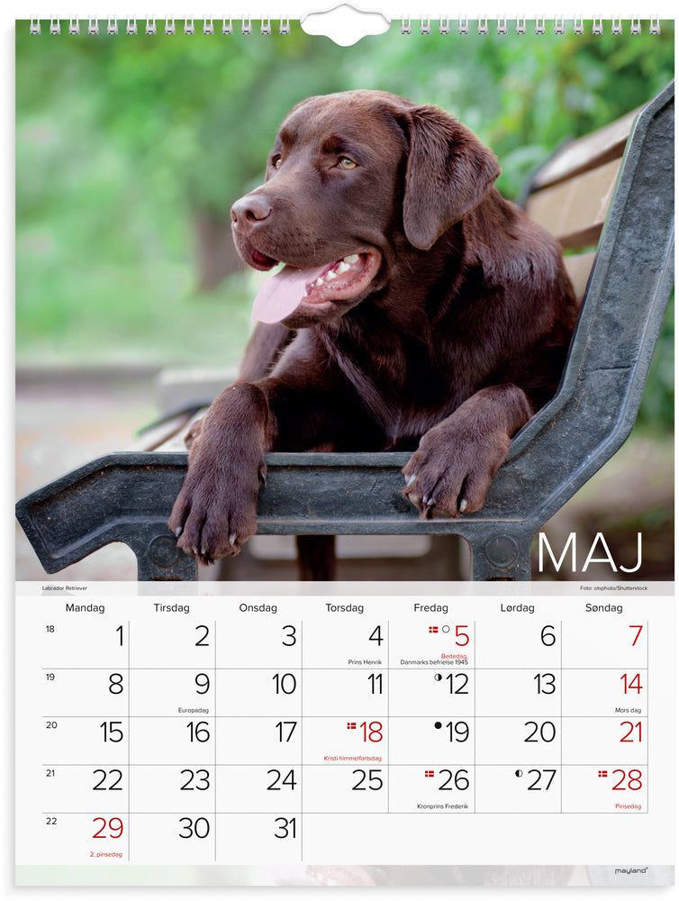 Vægkalender hunde 2023 Mayland