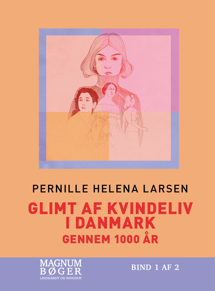 Glimt af kvindeliv i Danmark gennem 1000 år (Storskrift)