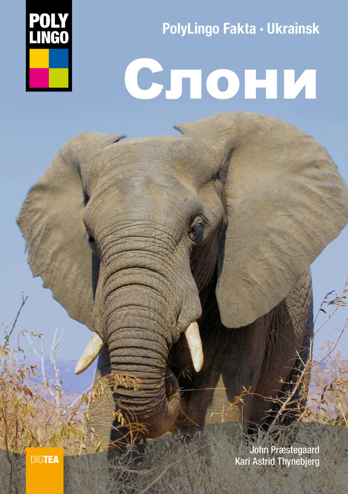 Слони (Elefanter)