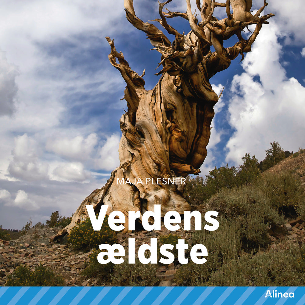 Verdens ældste