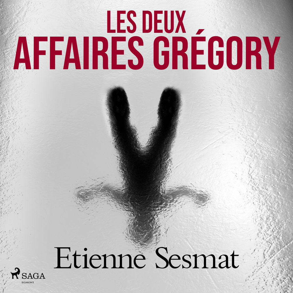 Les Deux Affaires Grégory