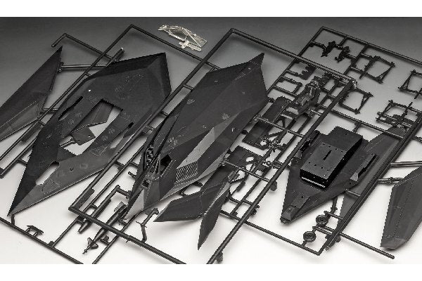 F-117A Nighthawk Stealth Fighter