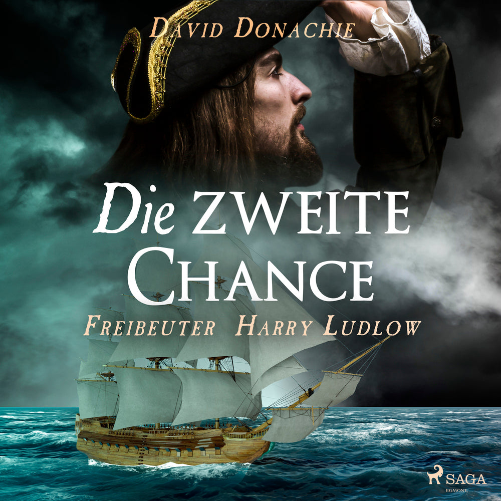 Die zweite Chance (Freibeuter Harry Ludlow, Band 4)
