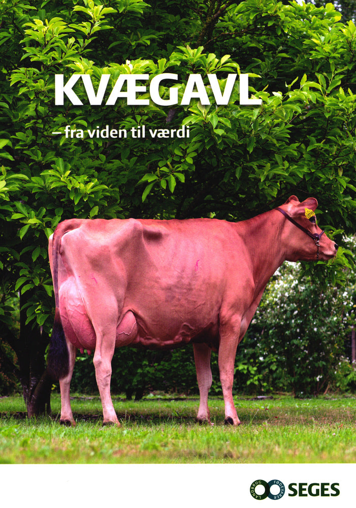 Kvægavl