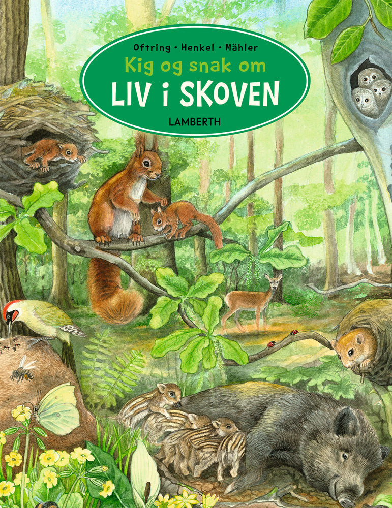 D1 Kig og snak om liv i skoven