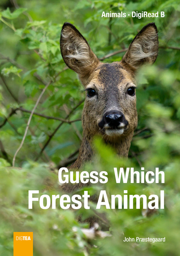 Guess which Forest Animal