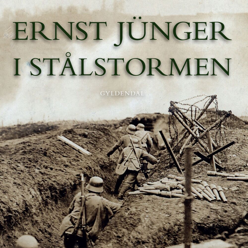 I stålstormen
