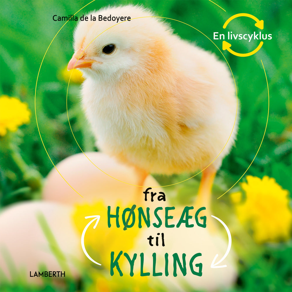 Fra hønseæg til kylling