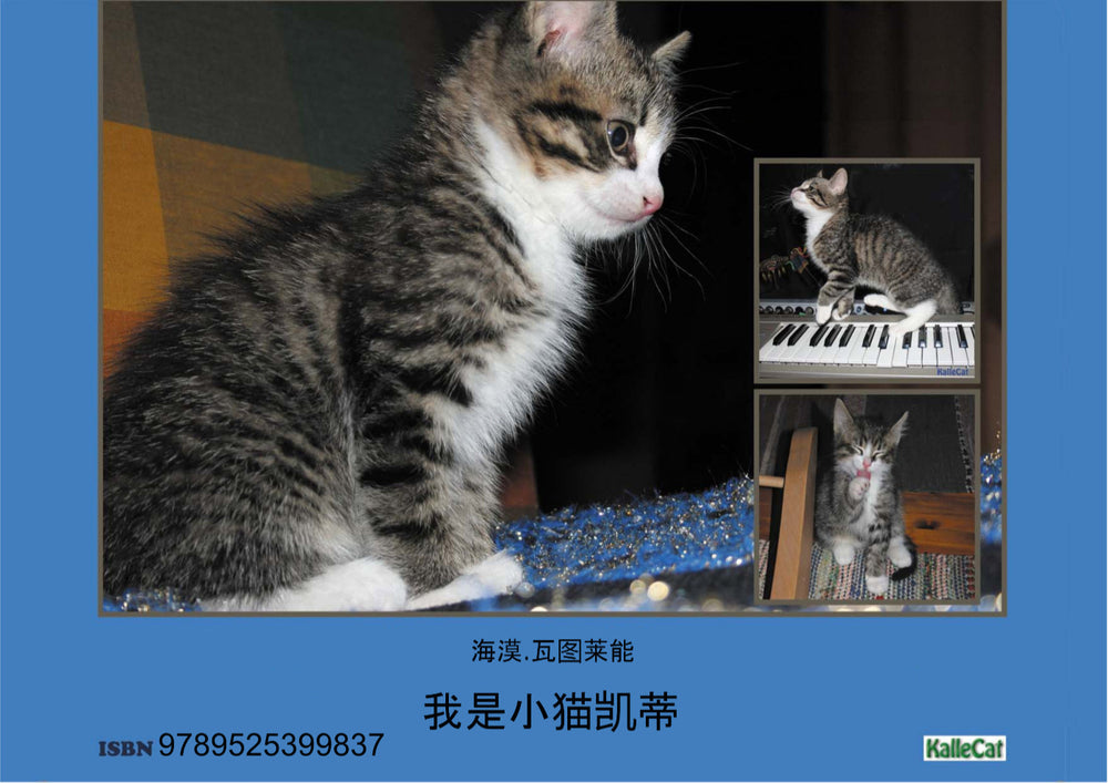我是小猫凯蒂: 照片书
